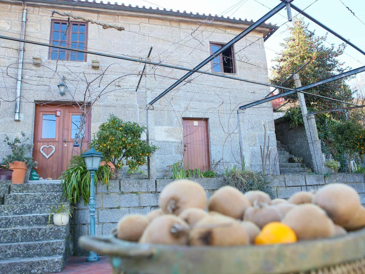 Casa De Sao Joao Das Castanheiras Resende Εξωτερικό φωτογραφία