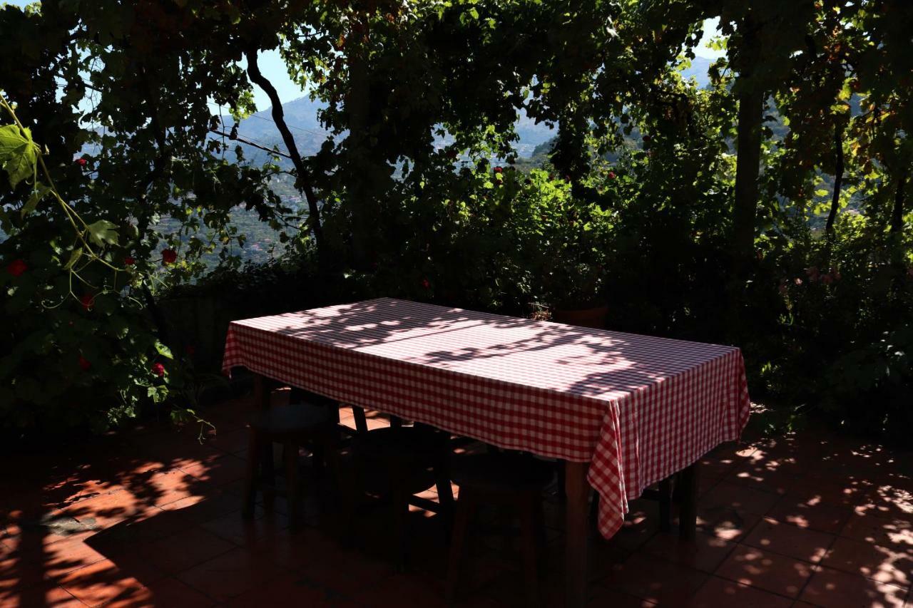 Casa De Sao Joao Das Castanheiras Resende Εξωτερικό φωτογραφία