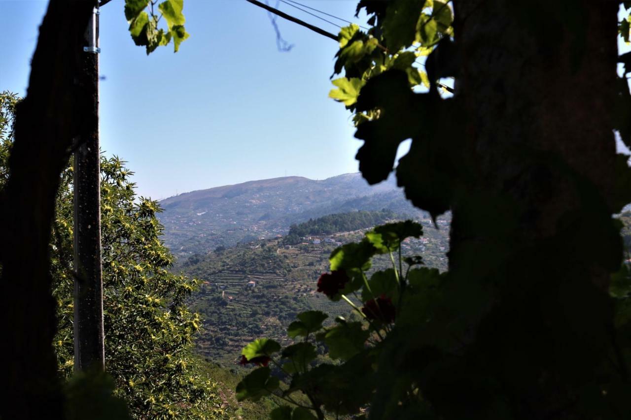 Casa De Sao Joao Das Castanheiras Resende Εξωτερικό φωτογραφία